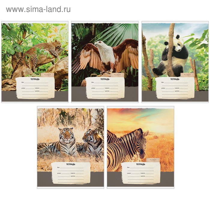 Тетрадь 12 листов косая линейка ArtSpace. Wild animals «Природа», МИКС - Фото 1