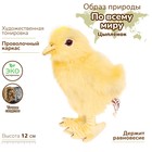 Игрушка мягкая Hansa Creation «Цыплёнок», 12 см - Фото 2