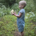 Игрушка мягкая Hansa Creation «Цыплёнок», 12 см - Фото 12