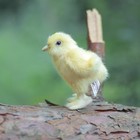 Мягкая игрушка «Цыпленок», 12 см - Фото 8