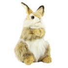 Мягкая игрушка «Коричневый кролик», 24 см - Фото 3
