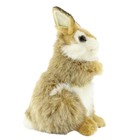 Мягкая игрушка «Коричневый кролик», 24 см - Фото 4