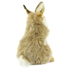 Мягкая игрушка «Коричневый кролик», 24 см - Фото 5