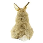 Мягкая игрушка «Коричневый кролик», 24 см - Фото 6