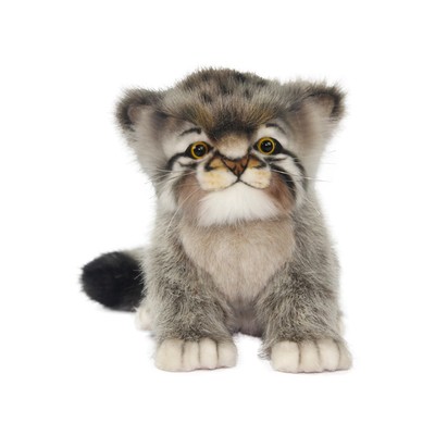 Мягкая игрушка «Котенок манула», 17 см