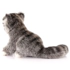 Мягкая игрушка «Котенок манула», 17 см - Фото 5