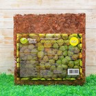 Субстрат кокосовый (чипсы) в блоке, 4,5 кг - Фото 1