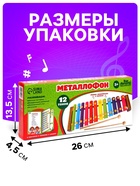 Металлофон музыкальная игрушка «Весёлые песни», 12 тонов, карточки с песнями - Фото 3