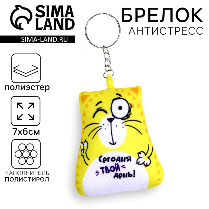 Брелок-антистресс «Сегодня твой день!», кот, 6х7 см - Фото 1