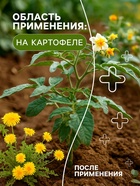 Средство для уничтожения сорняков на картофеле "Лазурит", 20 г - Фото 2