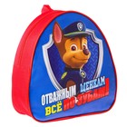 Детский набор рюкзак + пенал, Гончик, Щенячий патруль - фото 8437567