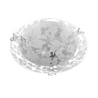 Матовый Ф250