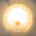 Светильник настенно-потолочный "Пламя" 1x60Вт E27 д.25см. - Фото 2