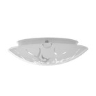 Светильник настенно-потолочный "Пламя" 1x60Вт E27 д.25см. - фото 23600854