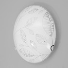 Светильник настенно-потолочный "Папоротник" 1x60Вт E27 д.25см. - фото 22890892