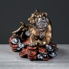 Сувенир "Тигр на монетах", символ года 2022, гипс, 17 см, микс - Фото 6