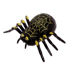 Липучка «Паук», сползает по стеклу, цвета МИКС - Фото 2