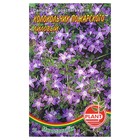 Семена цветов Колокольчик "Пожарского", 0,03 г - Фото 1