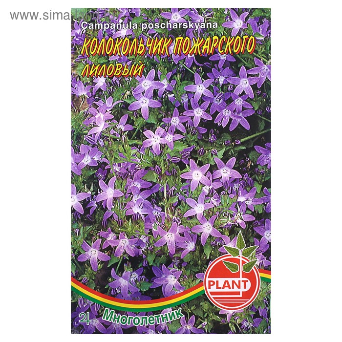 Семена цветов Колокольчик "Пожарского", 0,03 г - Фото 1
