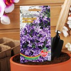 Семена цветов Колокольчик "Пожарского", 0,03 г - Фото 3