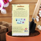 Семена цветов Колокольчик "Пожарского", 0,03 г - Фото 4