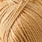 Пряжа "Гармония" 50% шерсть, 50% акрил 245м/100гр (005 бежевый) - фото 20893264