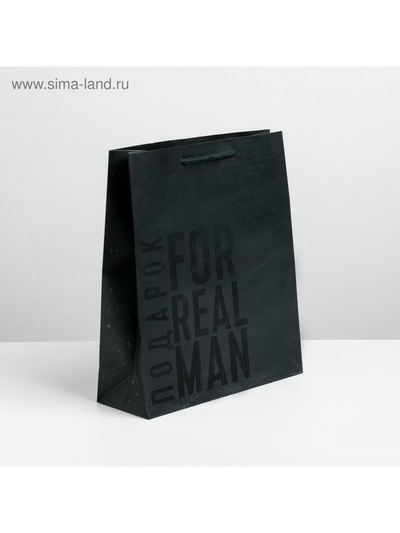 Пакет подарочный ламинированный, упаковка, «Мужская воля», ML 23 х 27 х 11.5 см