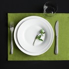 Комплект сетов «Ибица», размер 28 х 43 см - 6 шт, цвет зелёный - фото 301480352