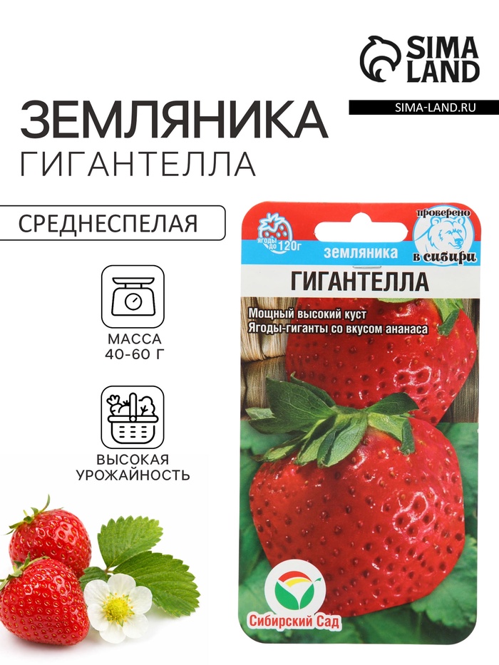 Семена Земляника «Гигантелла», 10 шт., «Сибирский сад» - Фото 1
