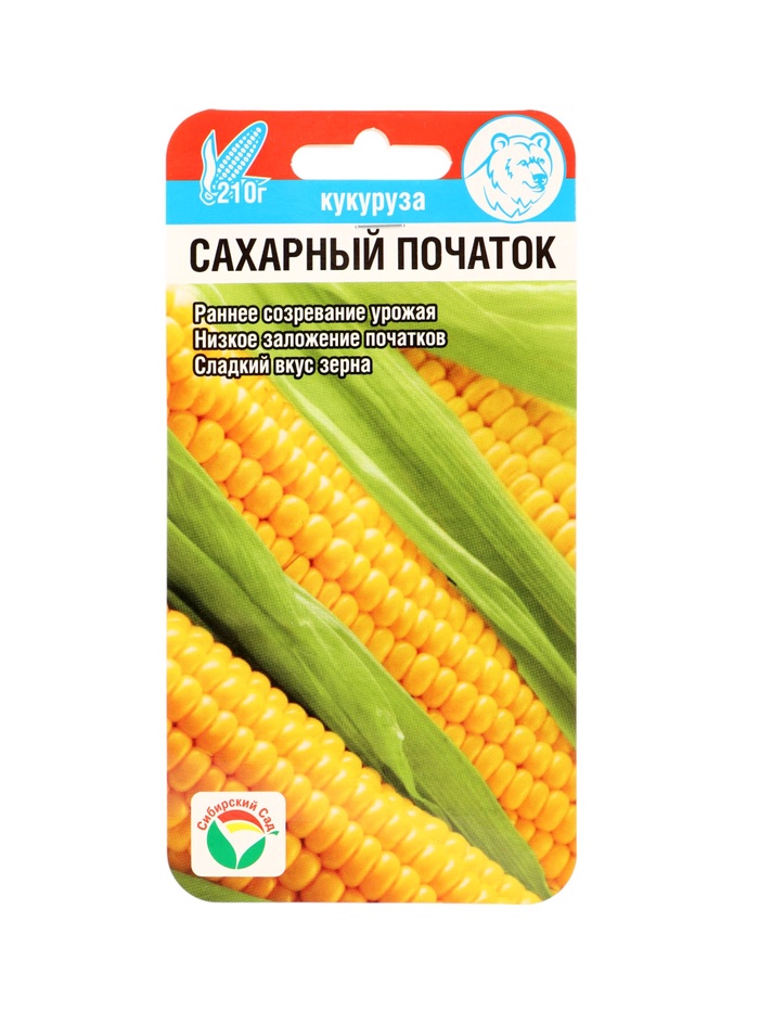 Семена Кукуруза сахарная «Сахарный початок», 6 шт., «Сибирский сад» - Фото 1