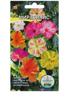 Семена цветов Мирабилис, 0.5 г, однолетник, смесь окрасок, «Агрэкс» - Фото 5