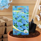Семена цветов Агератум голубой, О, 0,1 г - фото 9431506