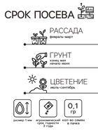 Семена цветов Колокольчик "Cмесь окрасок", 0,1 г - Фото 2