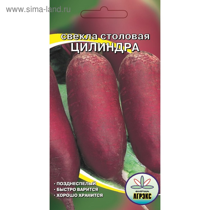 Семена Свекла "Цилиндра", 2 г - Фото 1