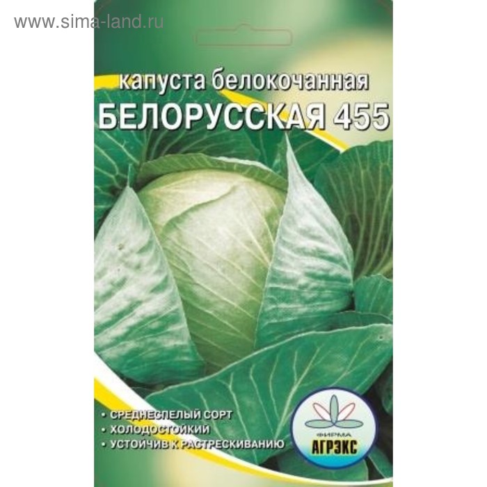 Семена Капуста белокочанная "Белорусская 455", 0,5 г - Фото 1