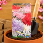 Семена цветов Астра харц смесь, О, 0,2 г - Фото 3