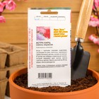 Семена цветов Астра харц смесь, О, 0,2 г - Фото 4