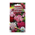 Семена цветов Гвоздика "Турецкая", 0,1 г - Фото 1