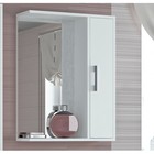 Шкаф-зеркало "Эко-55" 20 х 50 х 75 см, белый правый - фото 8768842