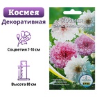 Семена цветов Космея махровая, О, 0,2 г - Фото 1