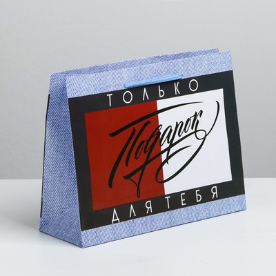 Пакет ламинированный горизонтальный «Подарок», ML 27 × 23 × 8 см