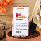 Семена цветов Цинния «Изящная карликовая смесь», однолетник, 0.2-0.3 г - Фото 4