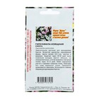 Семена цветов Гипсофила "Изящная", смесь окрасок, О, 0,1 г - Фото 2