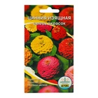 Семена цветов Цинния изящная смесь, О, 0,2 г - Фото 1