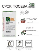 Семена Огурец "Пальчик", скороспелый, партенокарпический, 10 шт - Фото 2