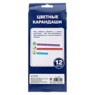 Карандаши 12 цветов, в картонной коробке, «Футбол» - Фото 2