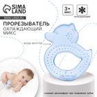 Прорезыватель охлаждающий с водой «Уточка», цвет МИКС, КНОПА - Фото 1