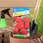 Семена Редис "Селеста" F1, 1 г - Фото 3