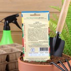 Семена Редис "Селеста" F1, 1 г - Фото 4