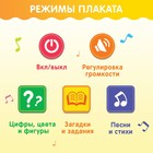 Обучающий плакат «Первые знания», со звуком, работает от батареек - фото 3828238
